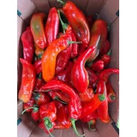 Long Pepper - Long Tatase Half...