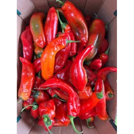 Long Pepper - Long Tatase Box...